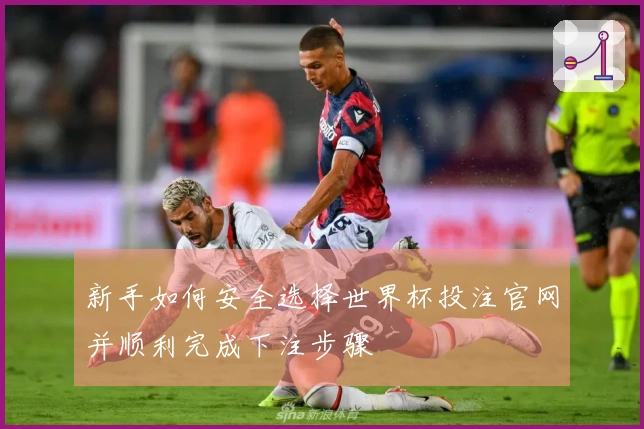 新手如何安全选择世界杯投注官网并顺利完成下注步骤