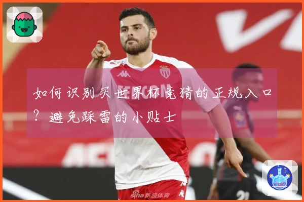 如何识别买世界杯竞猜的正规入口？避免踩雷的小贴士