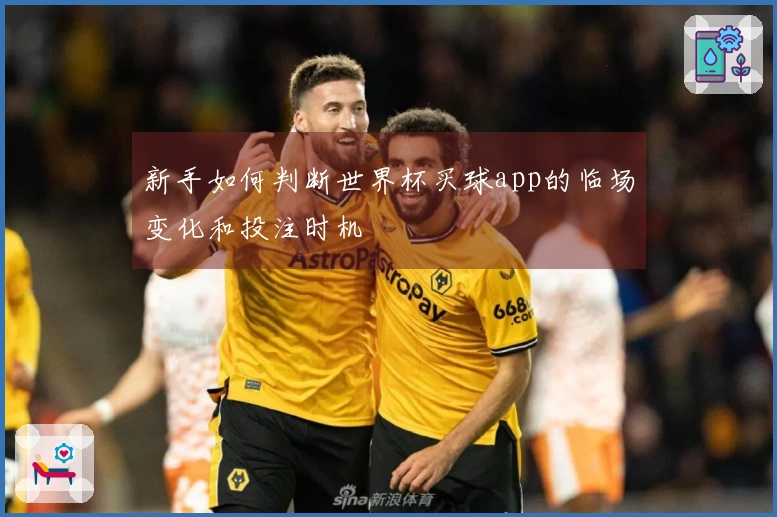 新手如何判断世界杯买球app的临场变化和投注时机