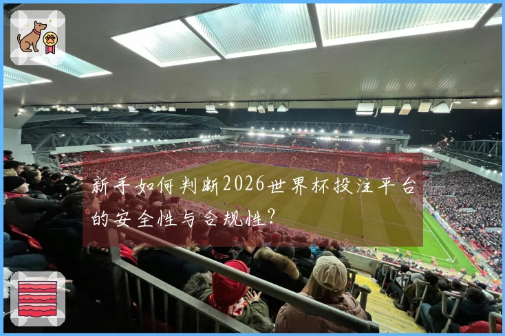 新手如何判断2026世界杯投注平台的安全性与合规性？