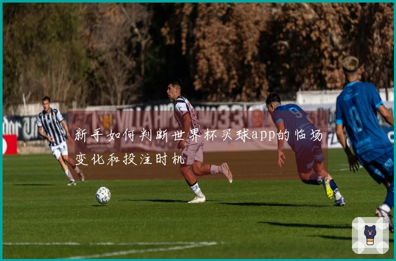 新手如何判断世界杯买球app的临场变化和投注时机