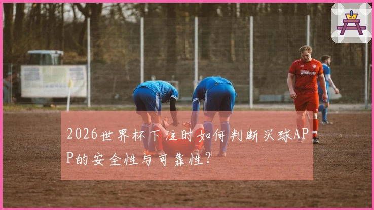 2026世界杯下注时如何判断买球APP的安全性与可靠性？